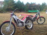 20081102084557.jpg