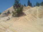 20110717130516.jpg