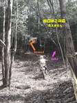 trial