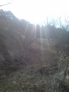 20100328100533.jpg